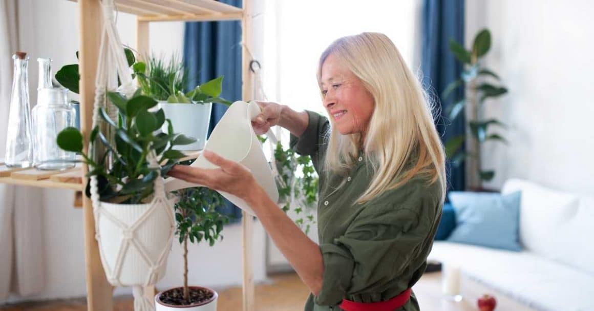 how to take care of indoor plants