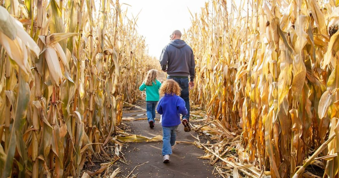 get lost in a corn maze-fun things to do this fall 2022