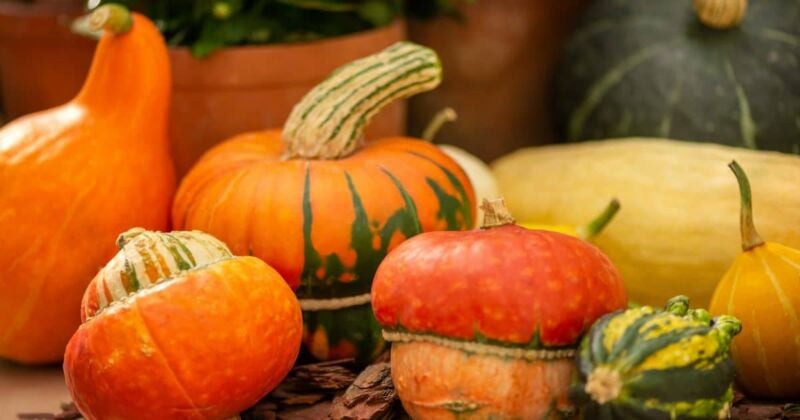 100 fun things to do this fall