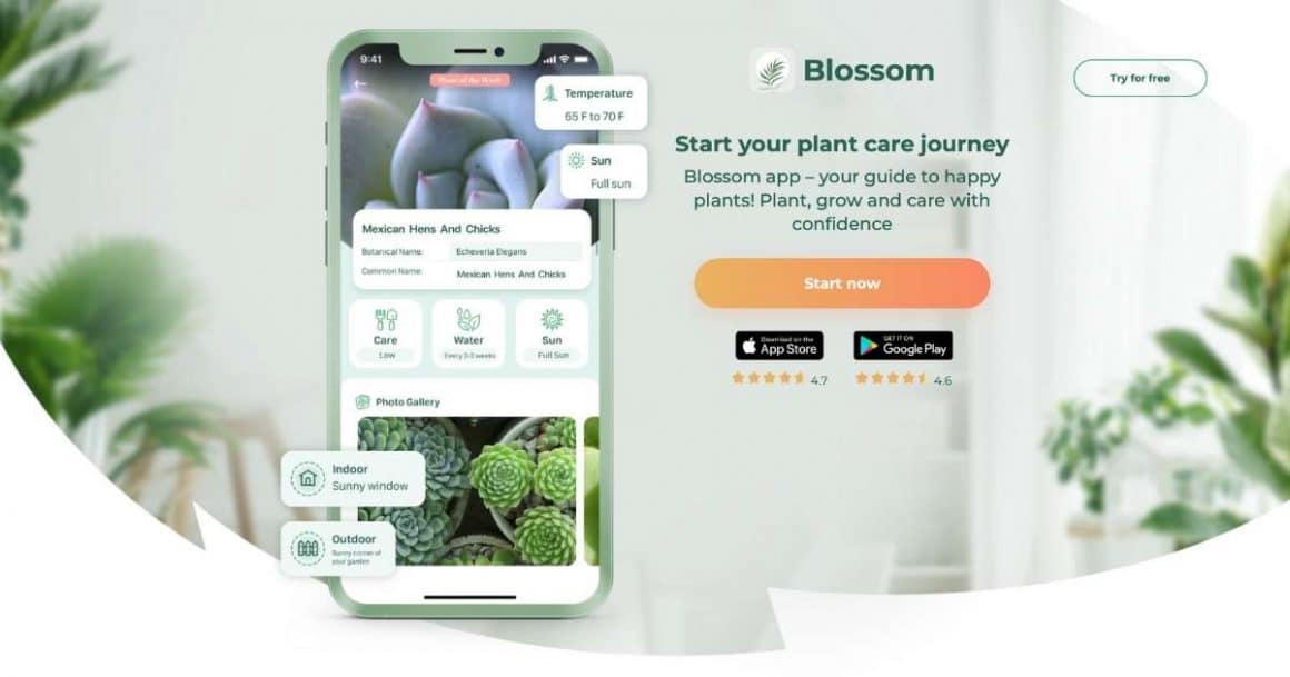 The Best Plant Care Apps For 2024 XO Christine   Indoor Plant Care Guide 1160x609 