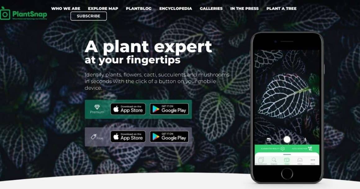 The best plant care apps