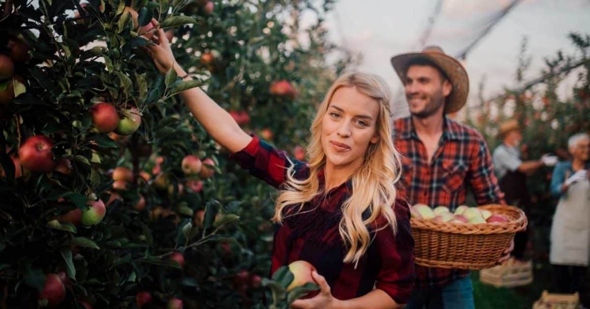 100 bucket list ideas for couples-apple picking