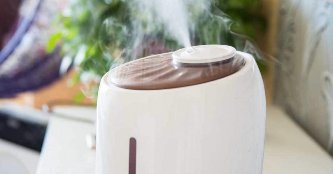 the best humidifiers for plants