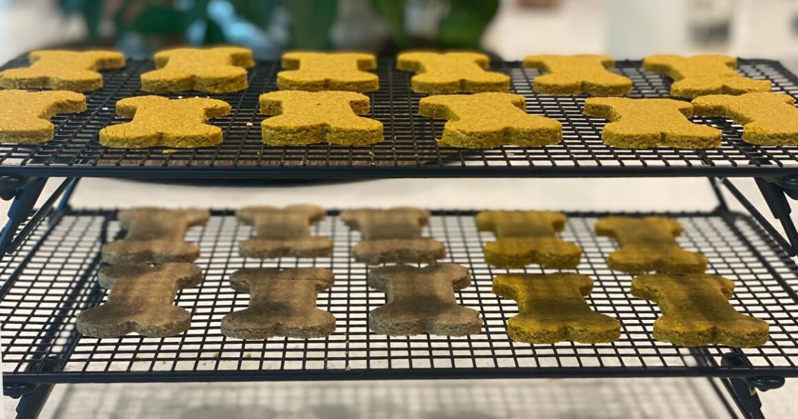 homemade peanut butter dog treats