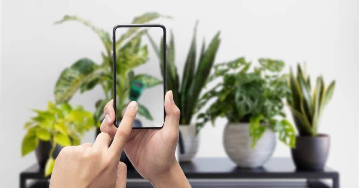 the best plant care app