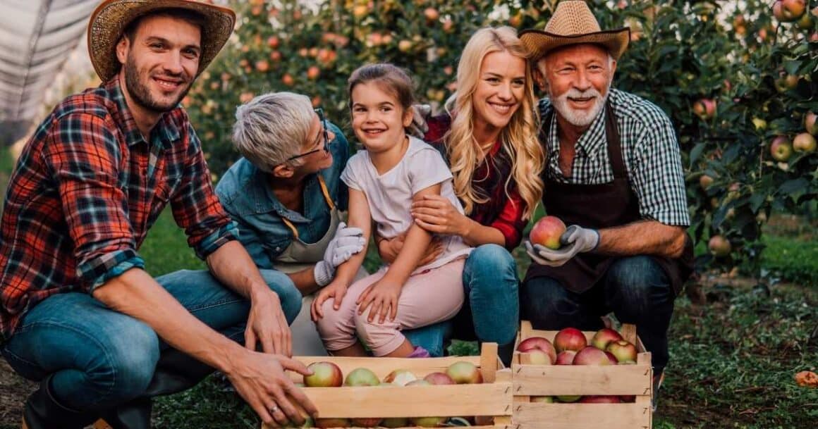 retirement bucket list-go apple picking