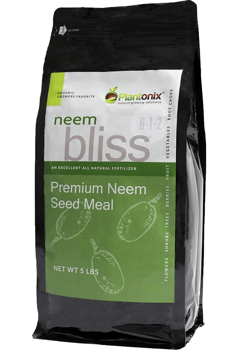 best neem oil for houseplants