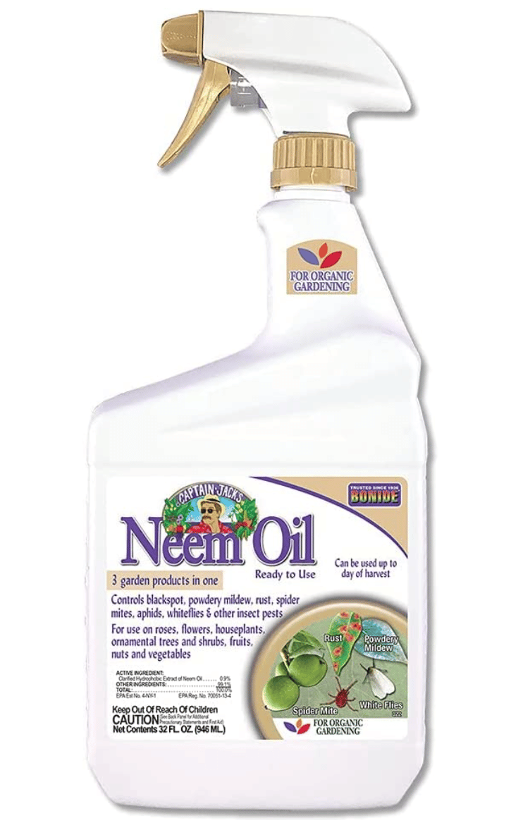 spray neem oil for houseplants