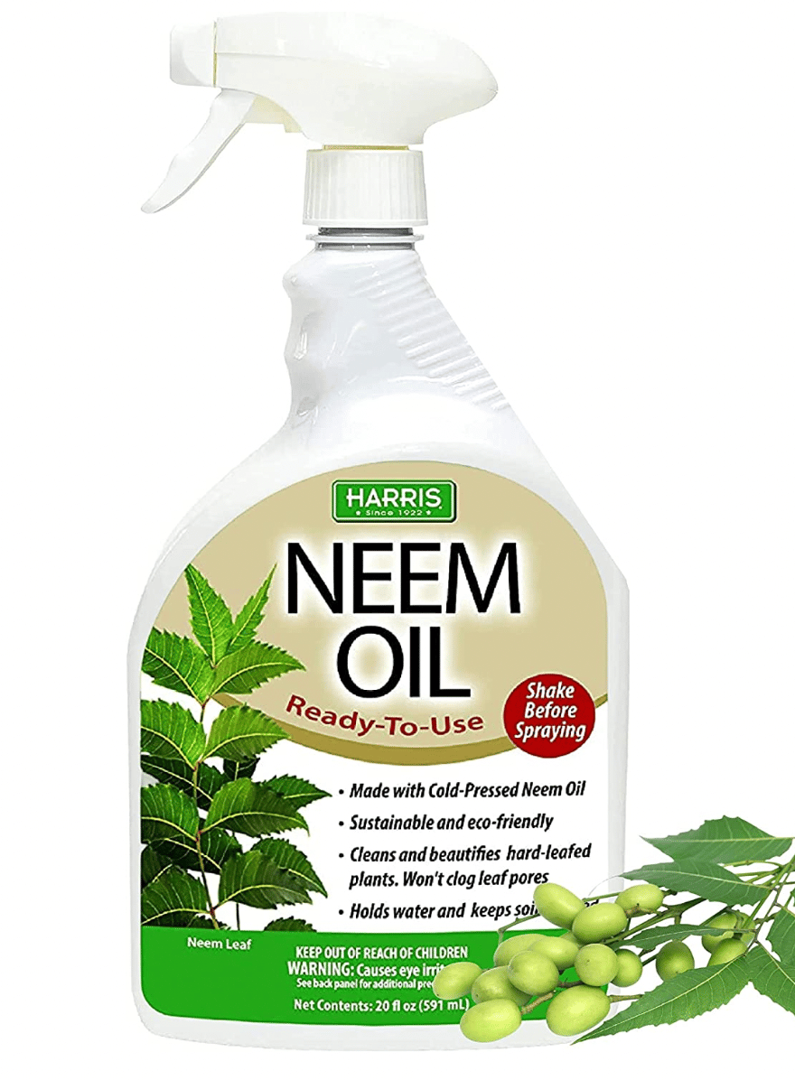 neem oil for houseplants