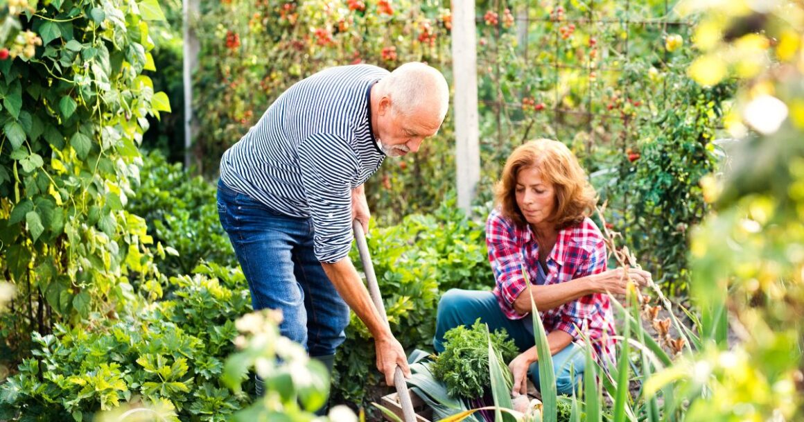 hobbies for men over 60-gardening
