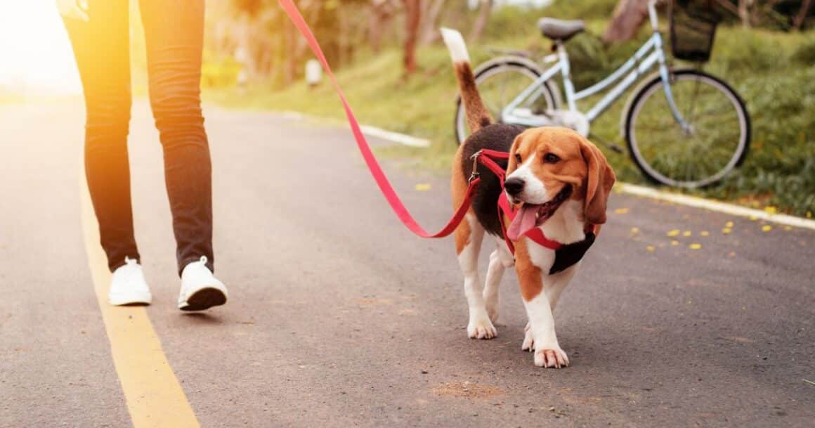 morning self-care move body get outside and take a walk