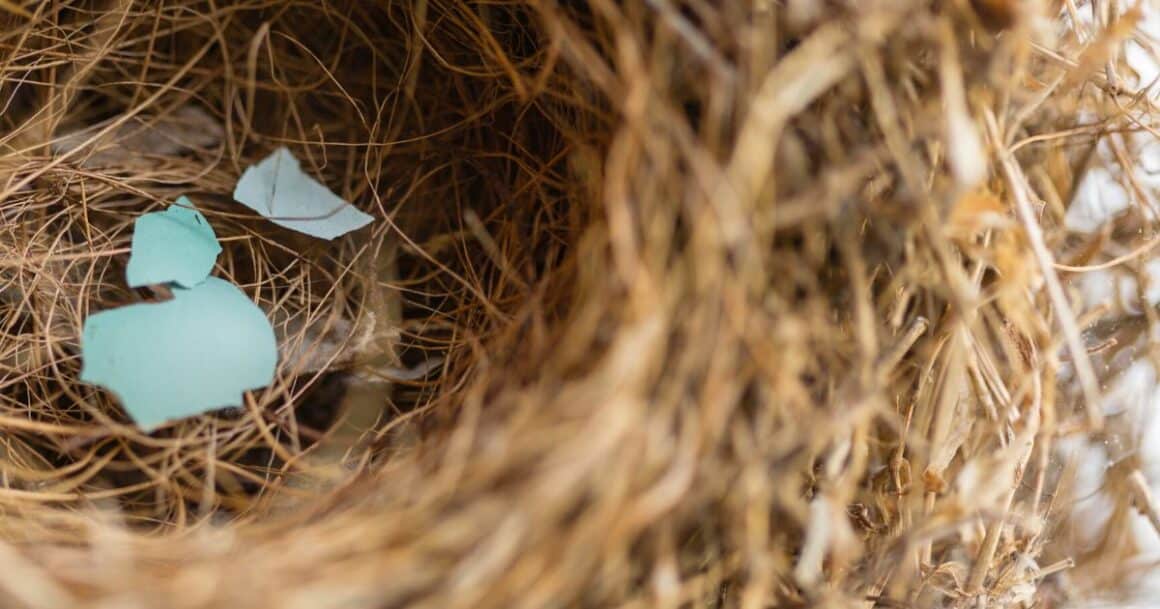 embracing the empty nest through prayer