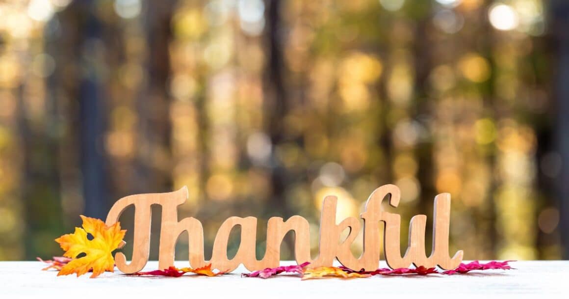 november gratitude challenge