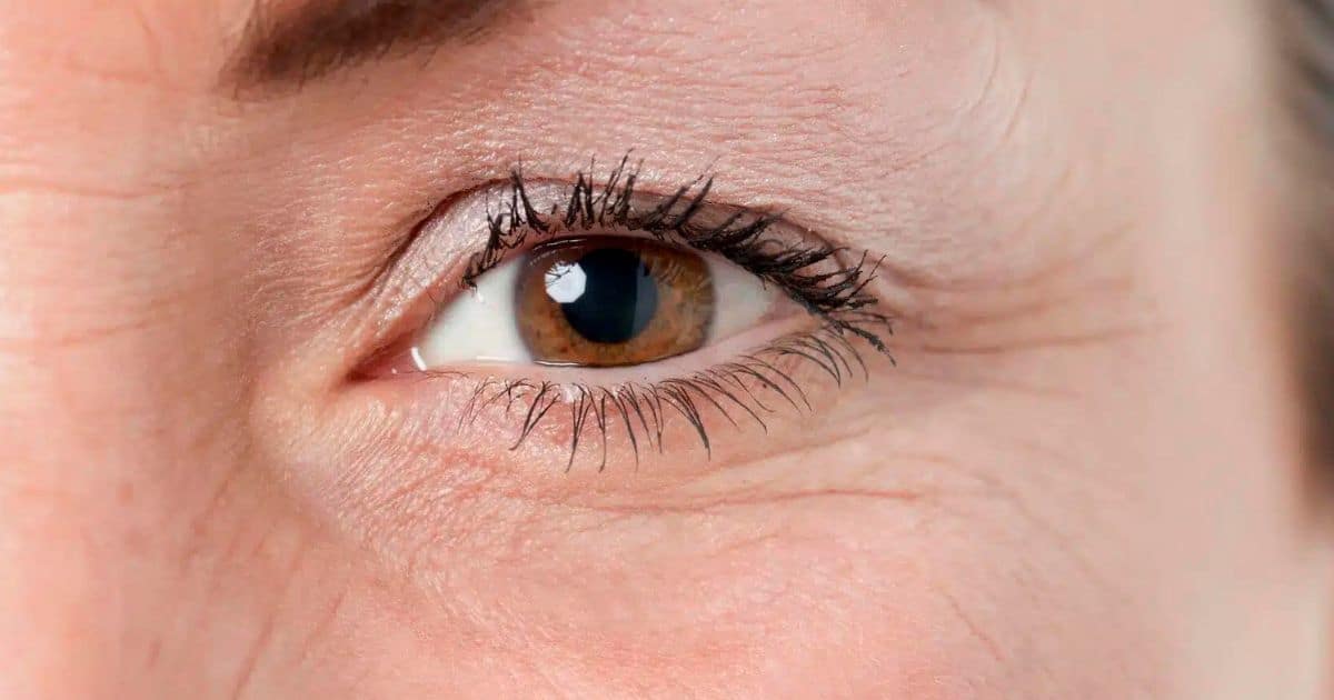 Thinning Eyelashes? The Best Eyelash Treatments for 2024!
