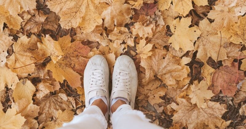 midlife transition